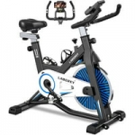 LABGREY Indoor Cycling Bike Exercise Bikes L1S