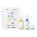 Dawn to Dusk Natural Skincare Kit